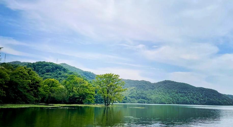 绿意盎然：植物守护者官方下载_植物守护者手机版安卓苹果下载