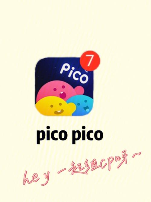 PicoPico软件下载安卓版_官方手机app下载_PicoPico电脑PC端最新版本