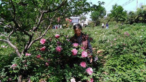 如意老人大桌面下载安卓版_官方手机app下载_如意老人大桌面电脑PC端最新版本